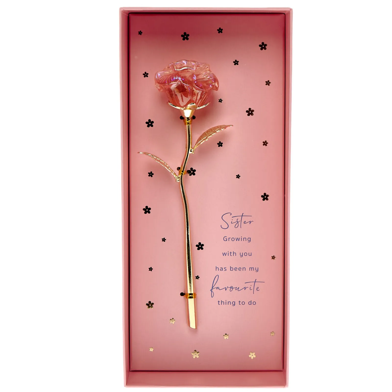 Discount Wonderful Sister Ornamental Flower Jewellery & Keepsakes|Birthday Gifts